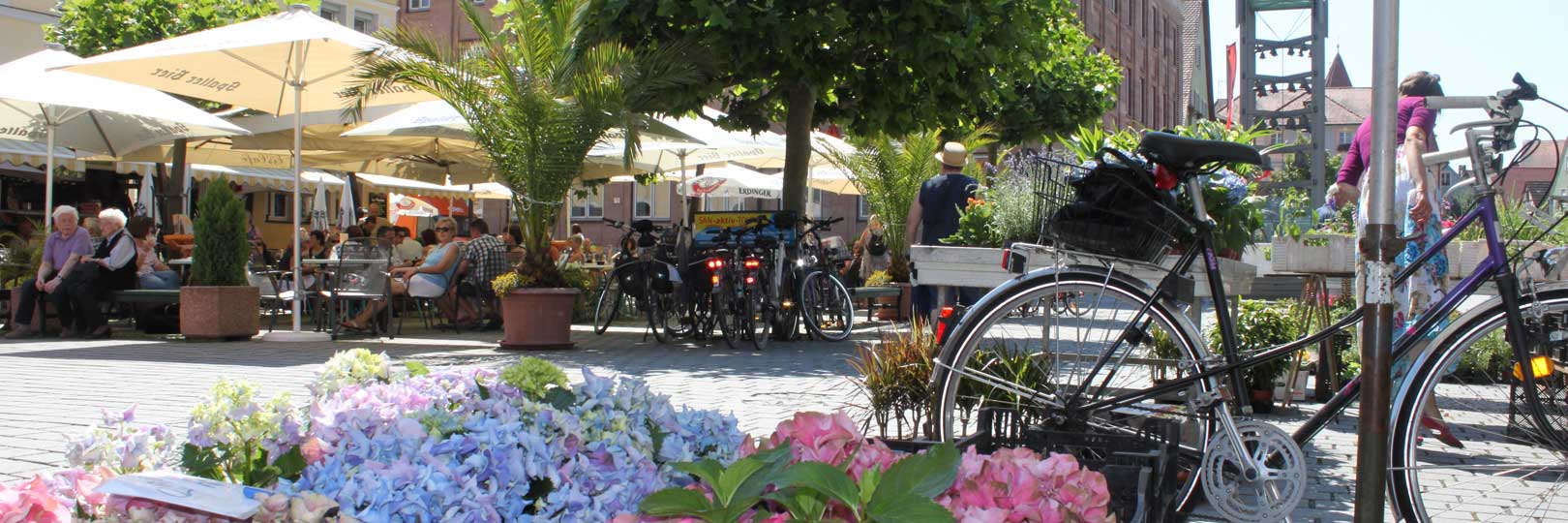 Hintergrundbild: Blumen-Marktplatz